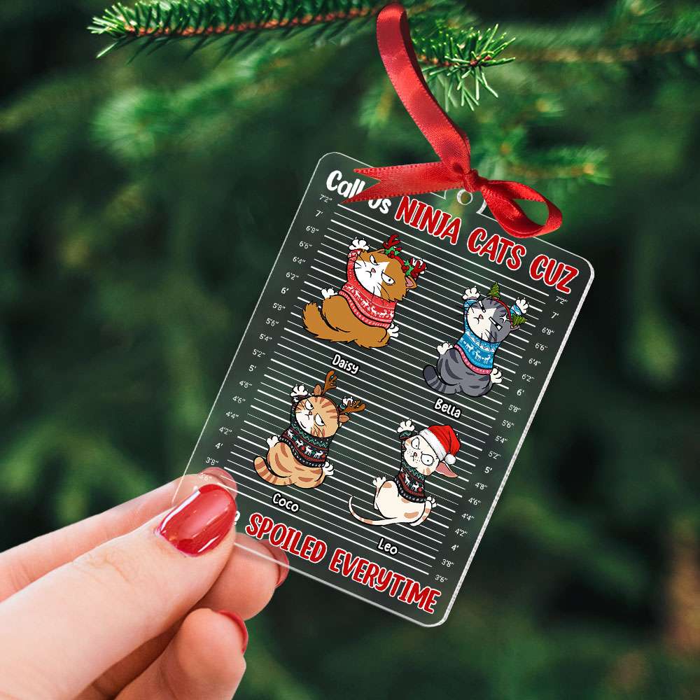 Call Us Ninja Cats - Personalized Acrylic Ornament - Gift For Cat Lover, Cat Mom, Cat Dad - CLP12 NA94 - Image 2