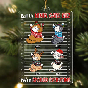 Call Us Ninja Cats - Personalized Acrylic Ornament - Gift For Cat Lover, Cat Mom, Cat Dad - CLP12 NA94 - Image 3