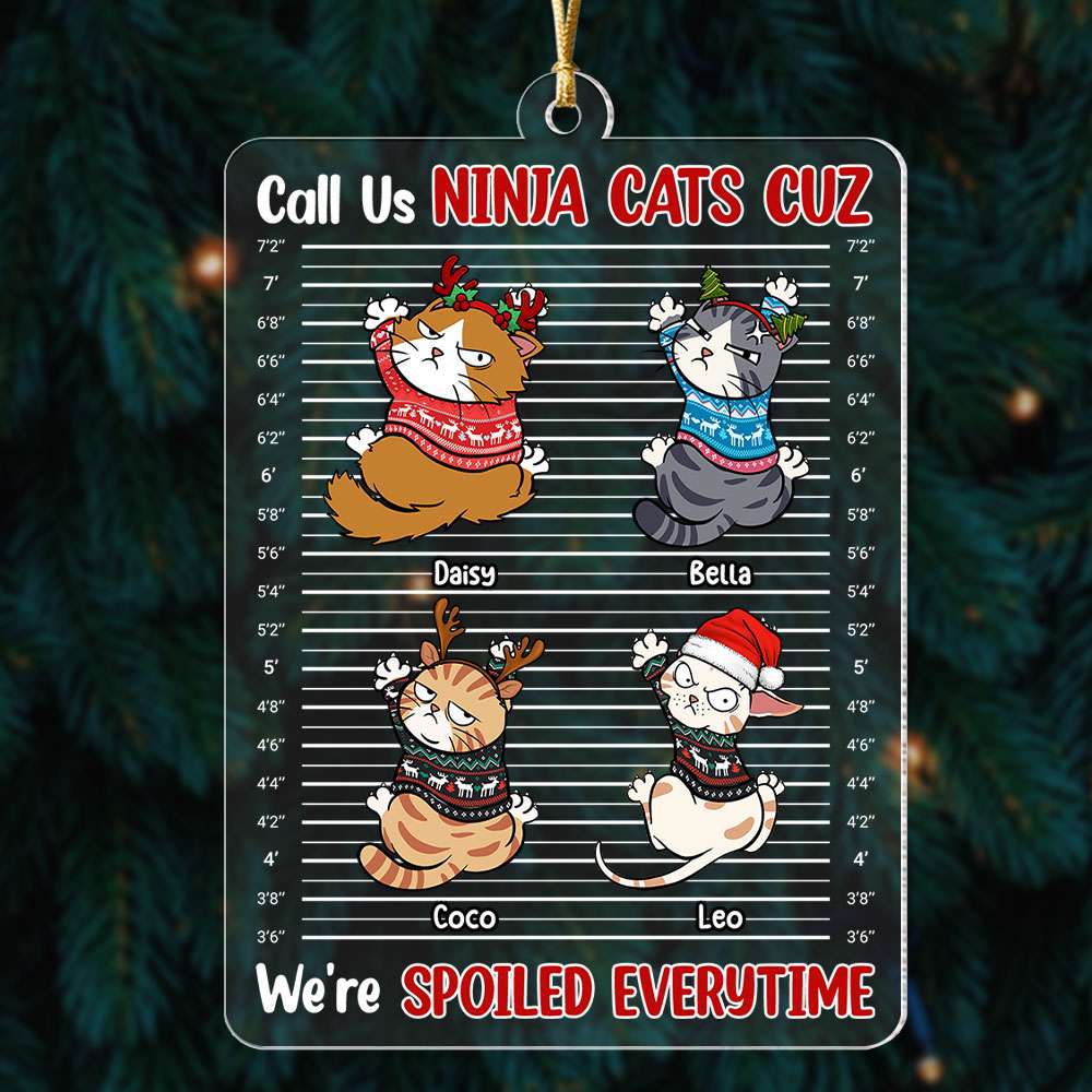 Call Us Ninja Cats - Personalized Acrylic Ornament - Gift For Cat Lover, Cat Mom, Cat Dad - CLP12 NA94 - Image 4